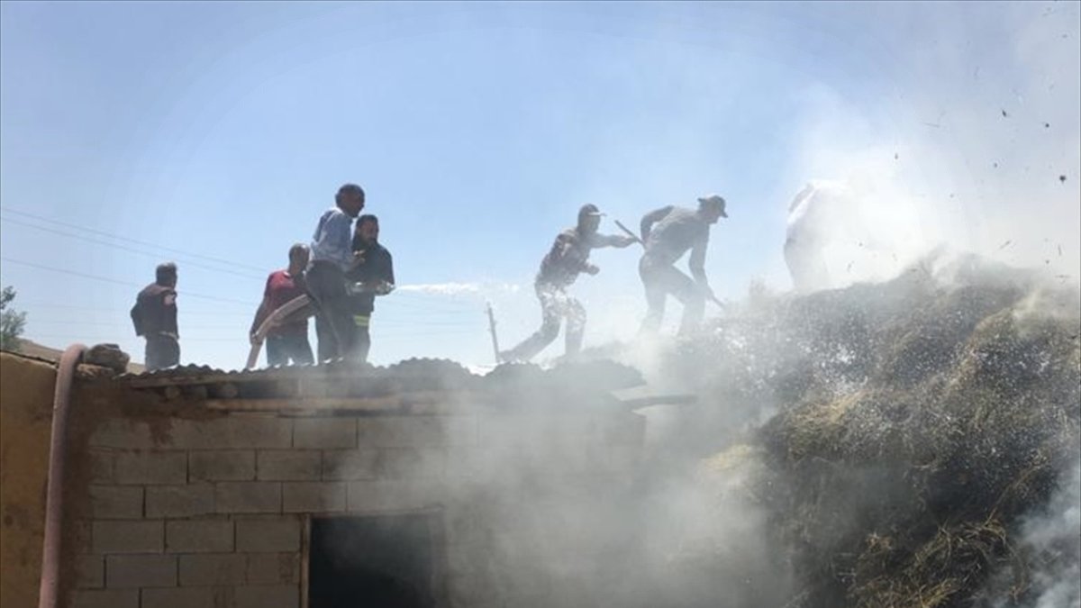 Van son dakika! Özalp'ta 2 bin bağ ot yandı