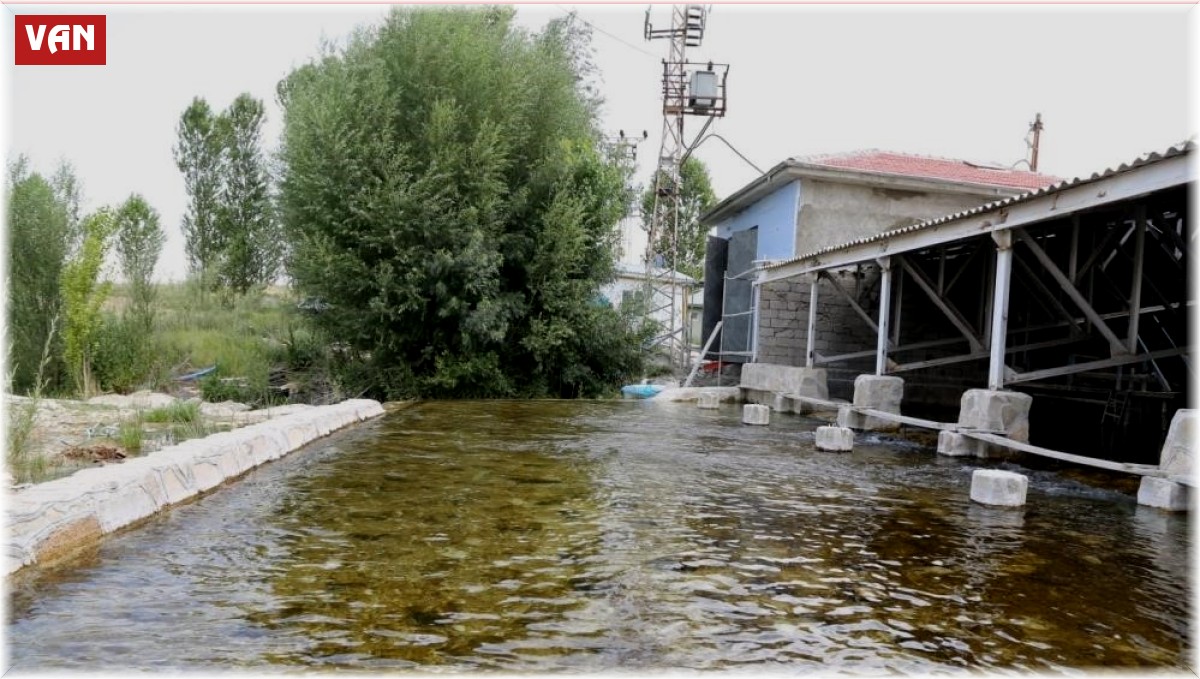 Van, ucuz suda 2'nci sırada