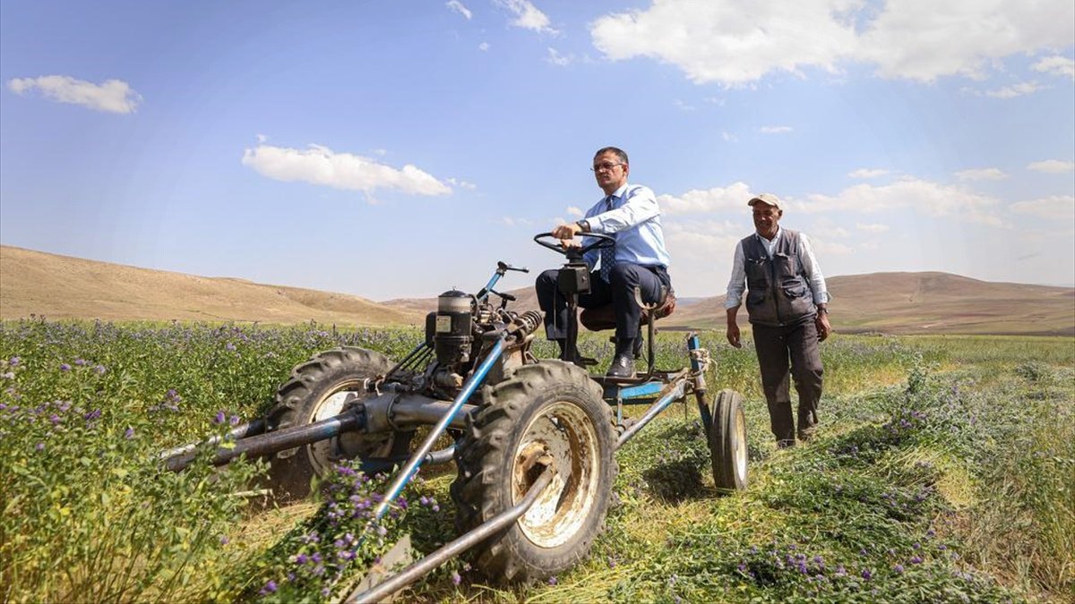 Van Valisi Ozan Balcı biçerle yonca hasadı yaptı