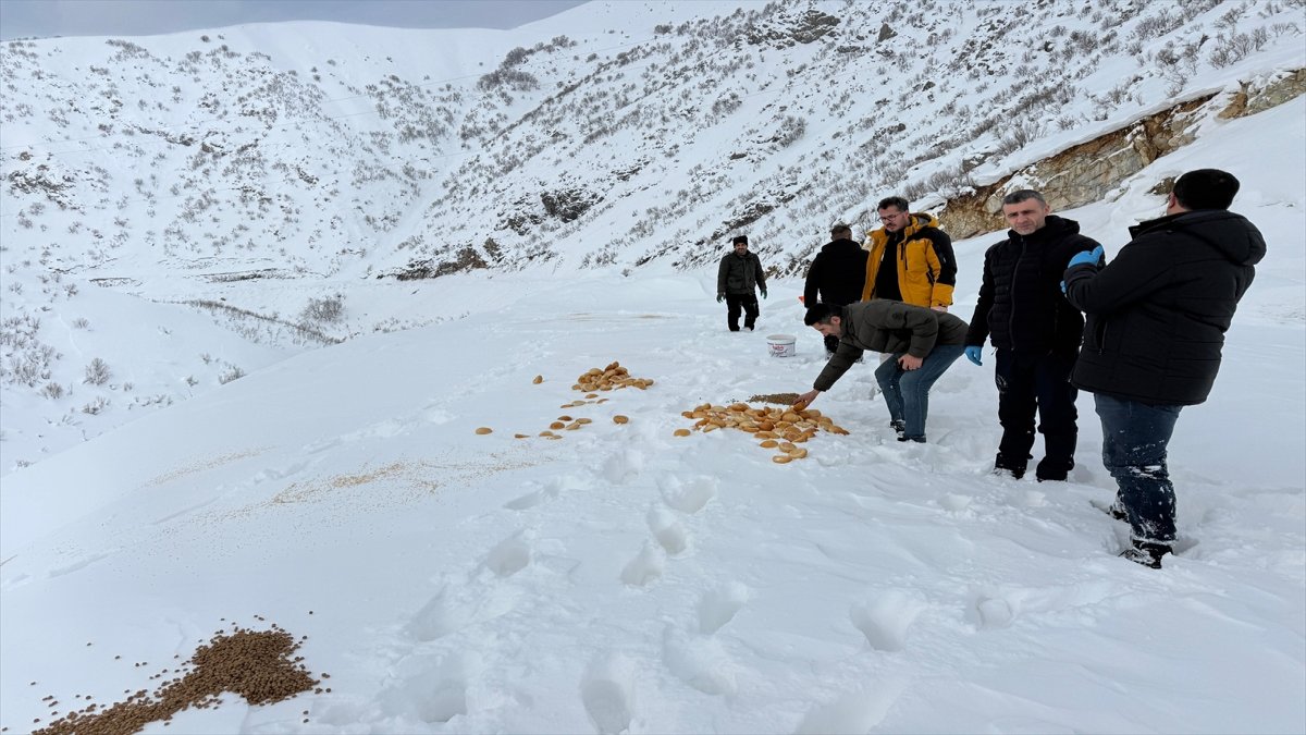 Van ve çevre illerde kar nedeniyle 145 yerleşim yerine ulaşılamıyor