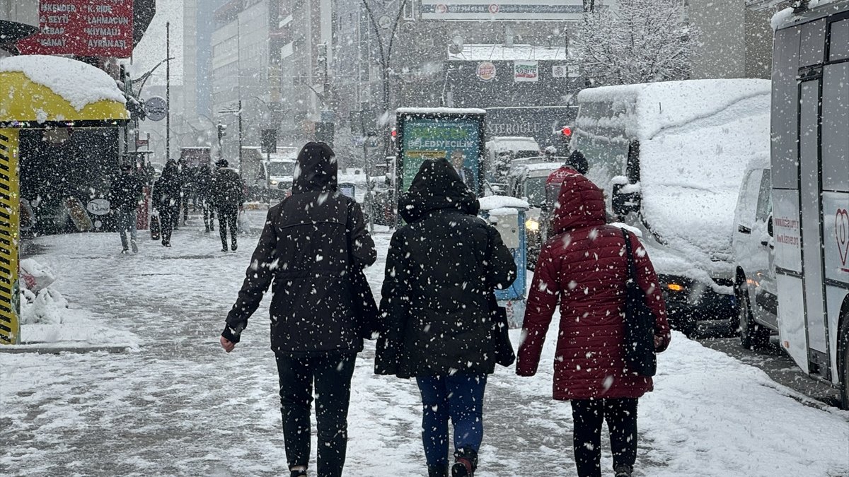 Van ve Hakkari'de 87 yerleşim birimine ulaşım sağlanamıyor