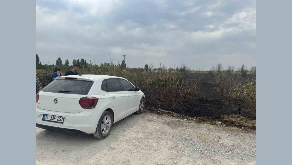 Van YYÜ kampüsünde arazi yangını