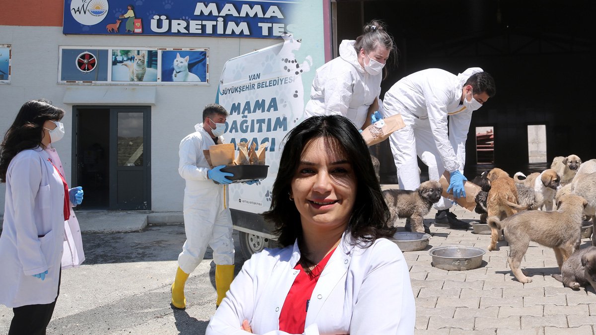 Van’da çöpe giden gıdalar bakın neye dönüşüyor: Her gün yüzlerce köpeğe mama