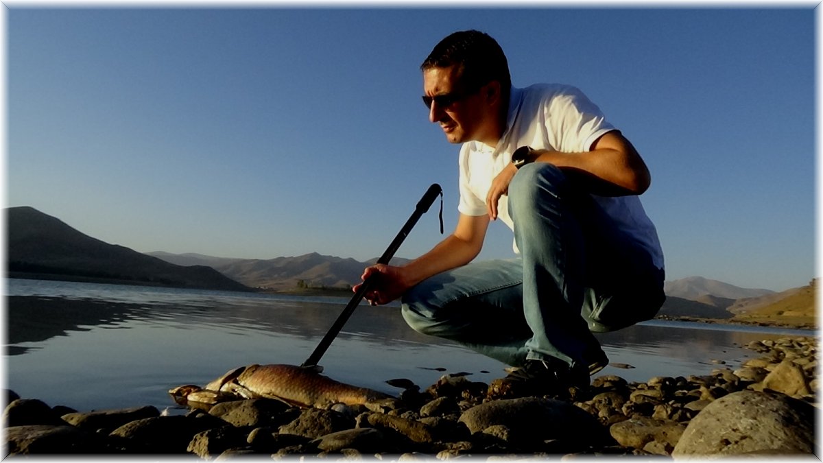 Van’daki balık ölümlerinin nedeni ‘ötrofikasyon’