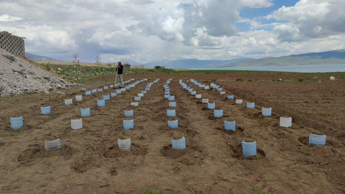 Vanlı çiftçi, 100 adet pet bidonla sera kurdu