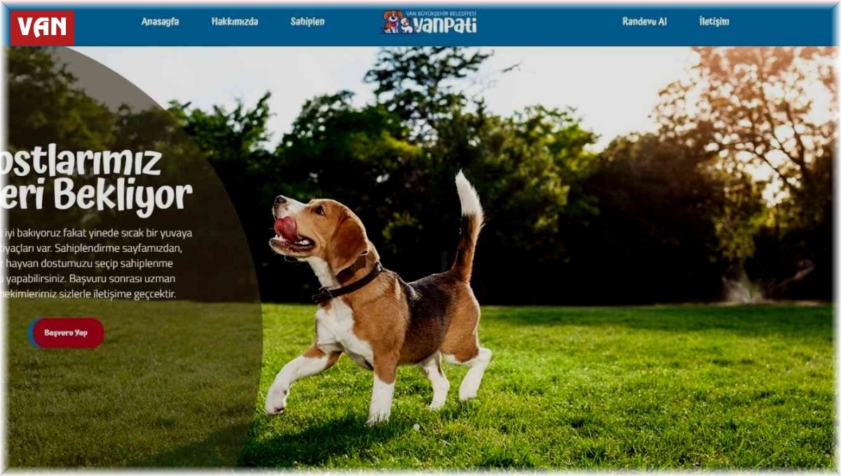 Vanpati ile sokak hayvanları sahiplenme dönemi başladı