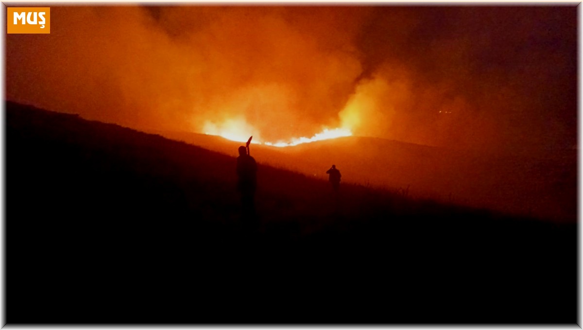 Varto'da anız yangını