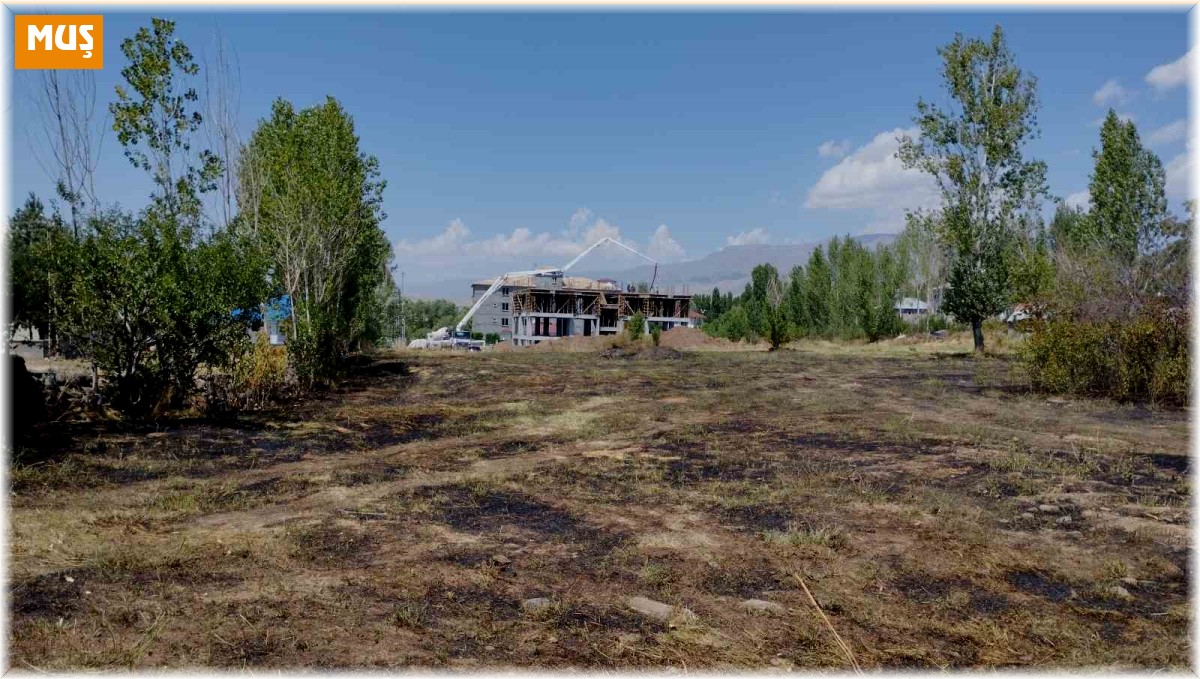 Varto'da anız yangını