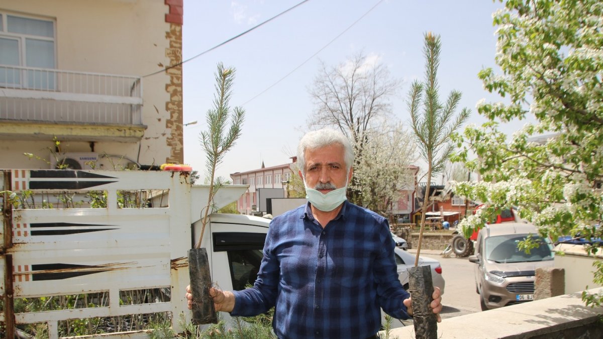 Varto'da fidan dağıtımı