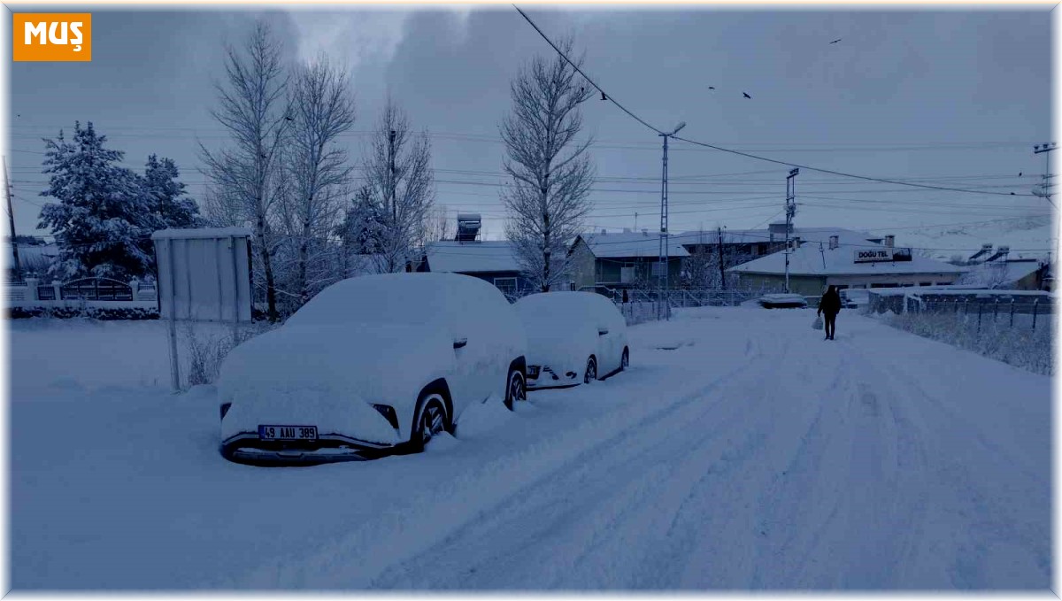 Varto'da hayat durdu: 72 yerleşim yerinin yolu kapandı, okullar 2 gün tatil edildi
