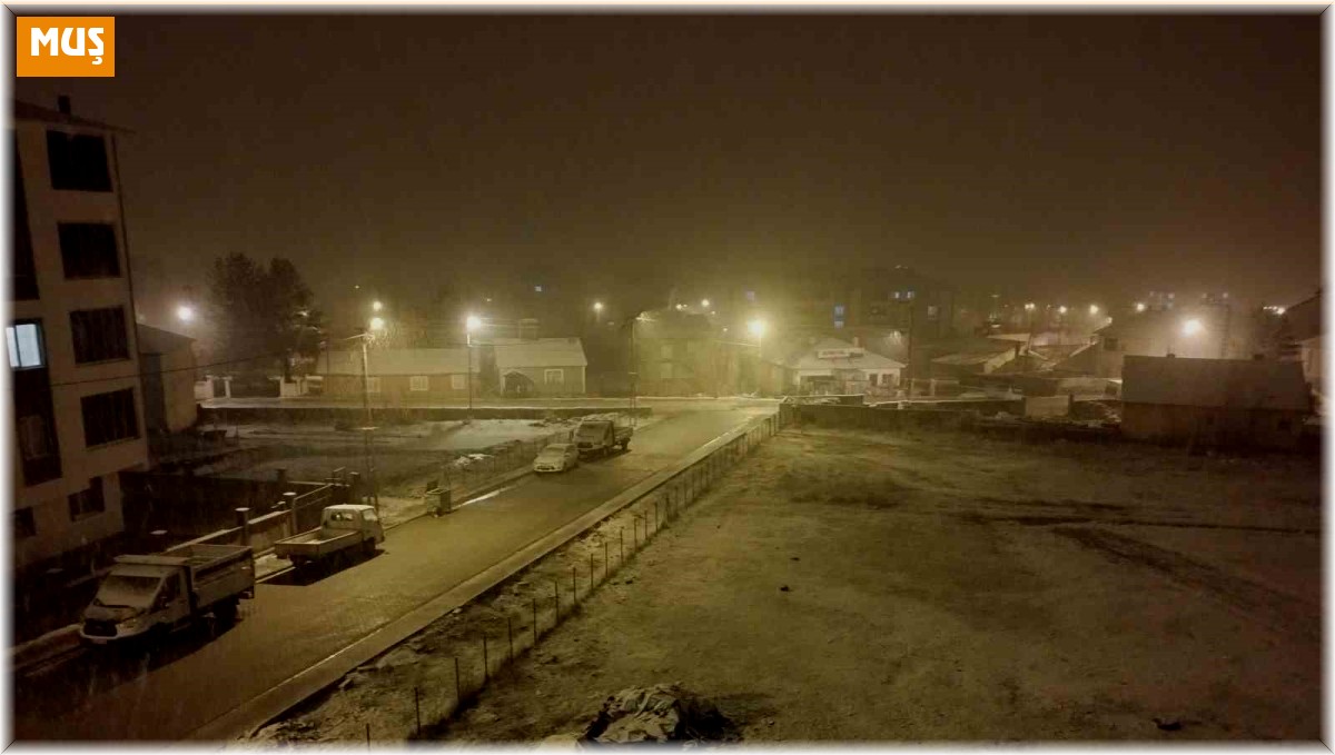 Varto'da kar yağışı: 20 köy yolu ulaşıma kapandı