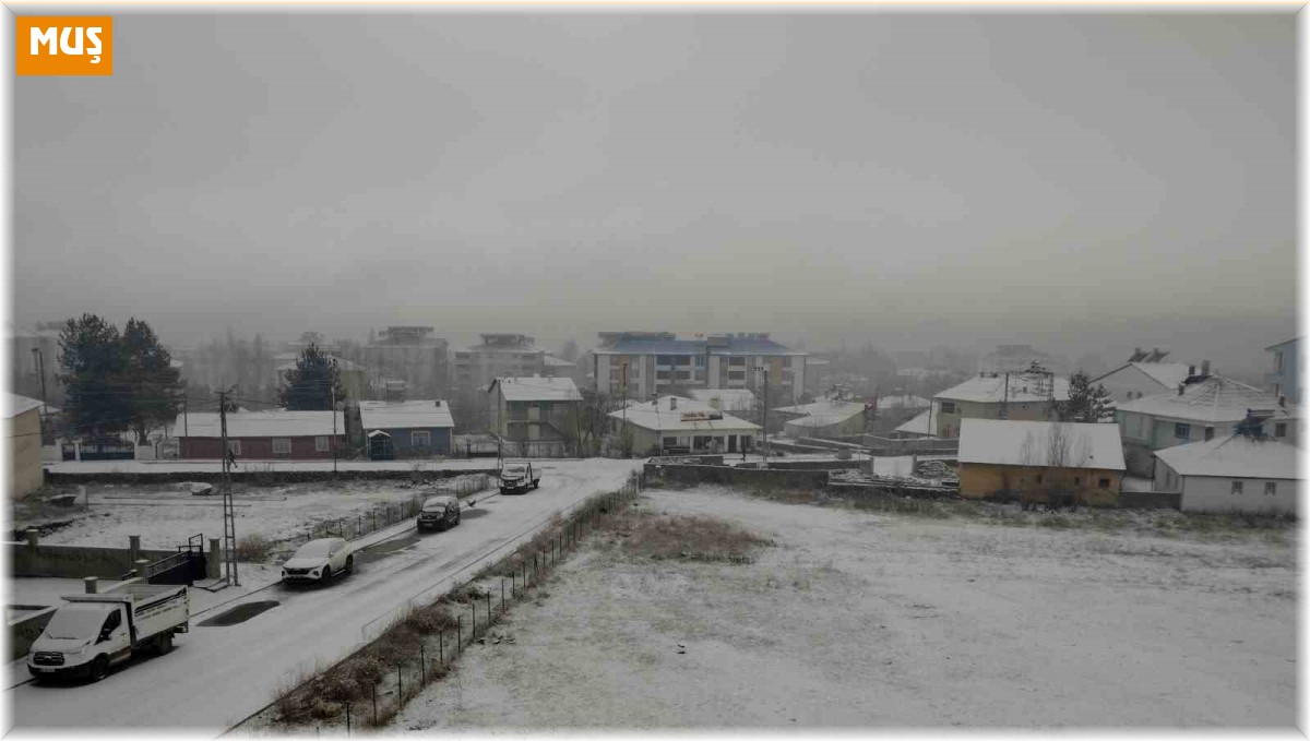 Varto'da kar yağışı