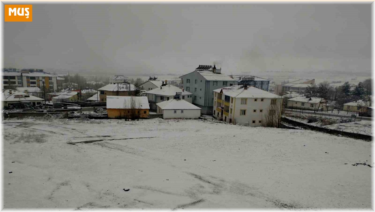 Varto'da kar yağışı