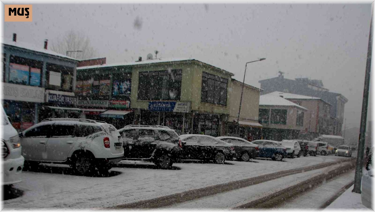 Varto'da kar yağışı