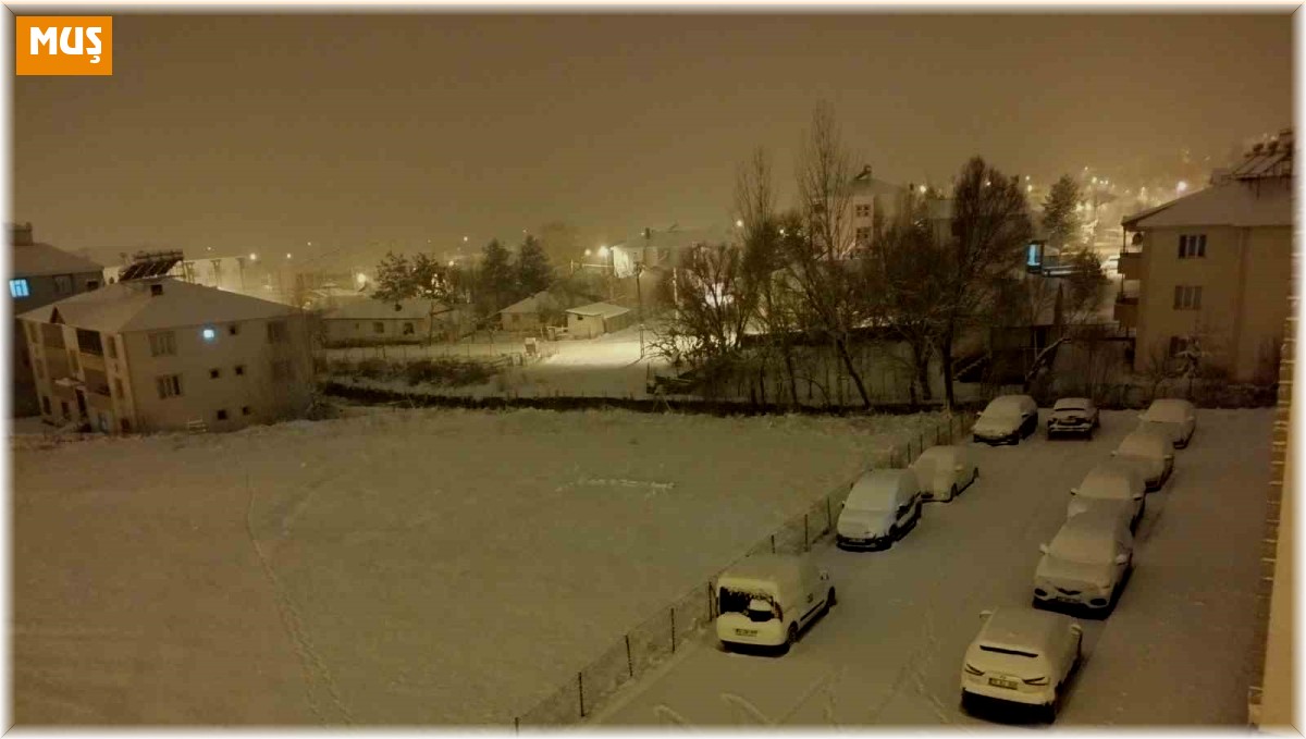 Varto'da kar yağışı hayatı olumsuz etkiledi