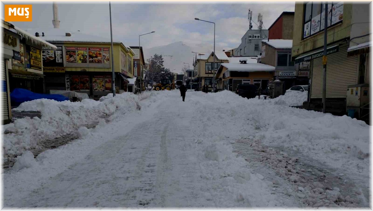 Varto'da karla mücadele çalışması