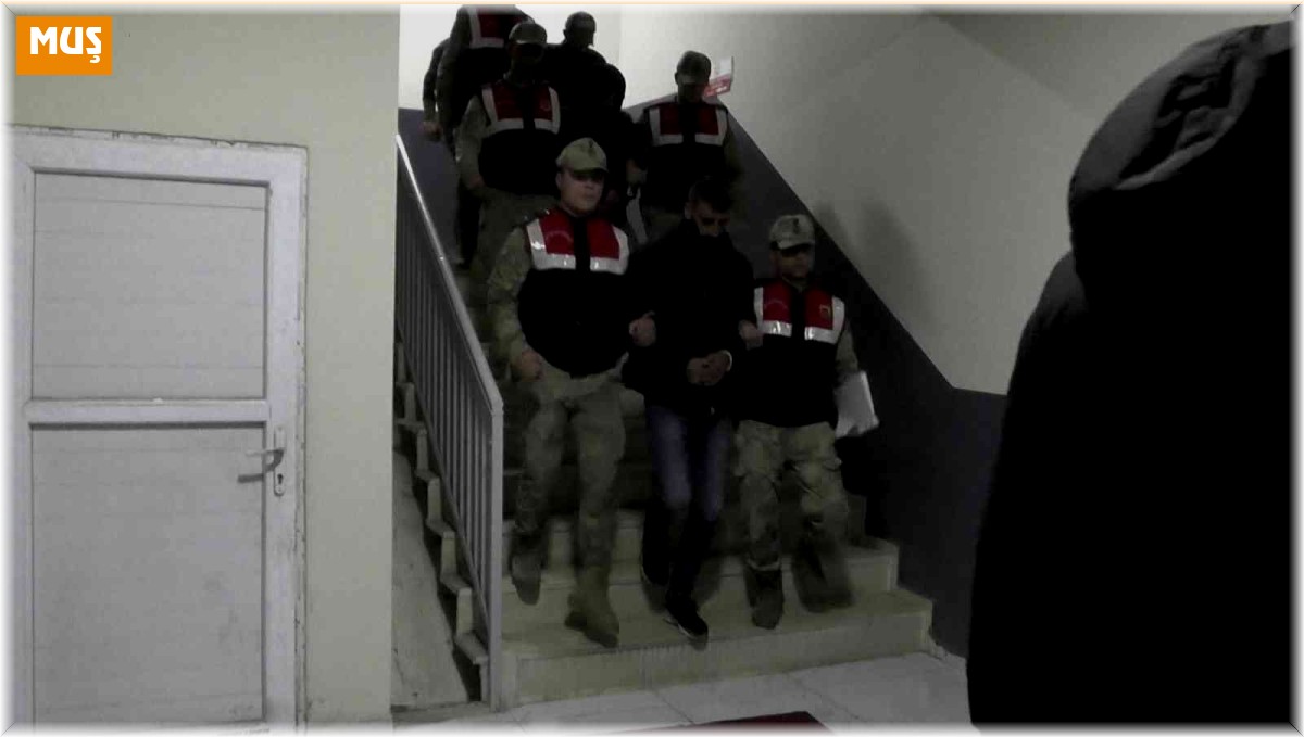 Varto'da köpeklere eziyet eden 3 kişiden 1'i tutuklandı