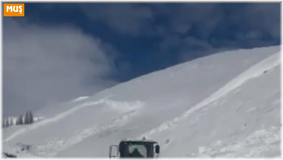 Varto'da köy yoluna çığ düştü