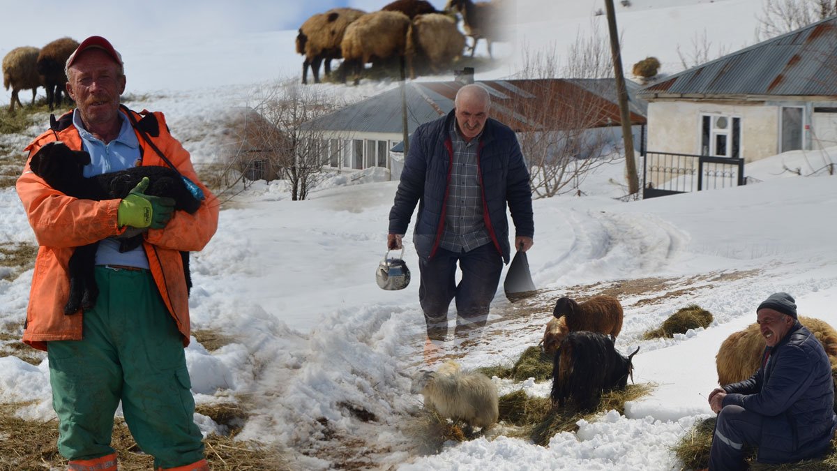 Varto’da Gölyayla ve Alabalık köylerinde nisan ayında 2-3 metre kar