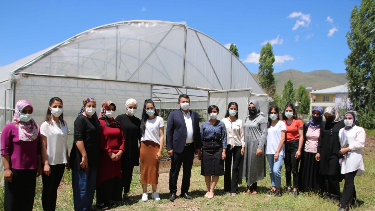 Vartolu kadınlar salatalık üreterek aile bütçelerine katkıda bulunuyor