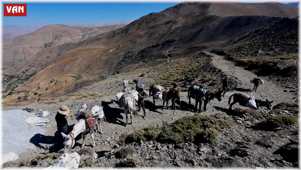 VASKİ ekipleri katırlarla çıktığı 3 bin 500 metrede çalışma yaptı