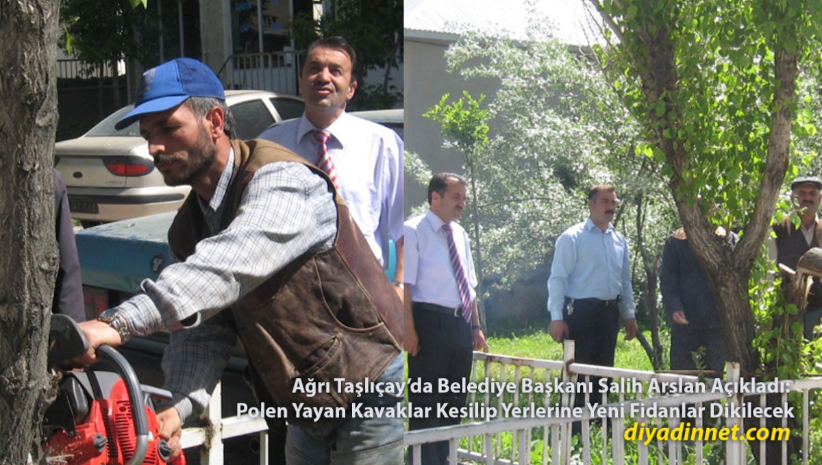 Vatandaşlar Maskeyle Dolaşmaya Başladı: Taşlıçay'da Polen Yayan Kavaklar Kesiliyor