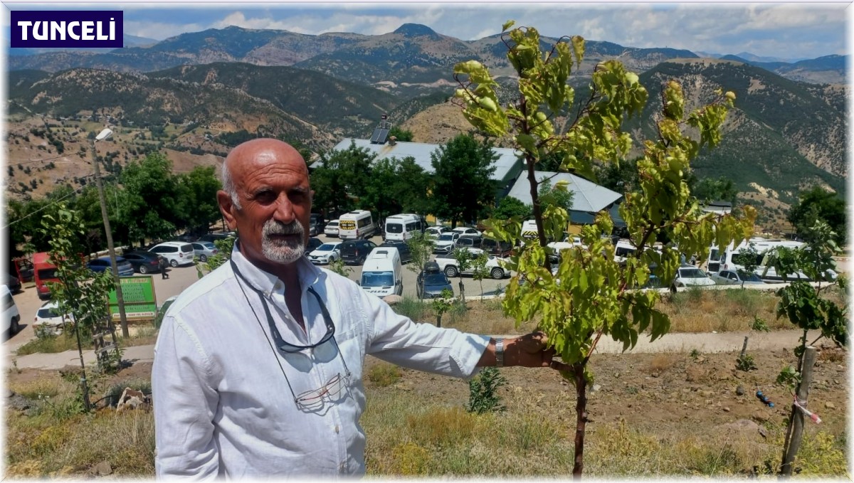Vatandaşların ziyaret ettiği Düzgün Baba'ya bin 500 ağaç diktirdi