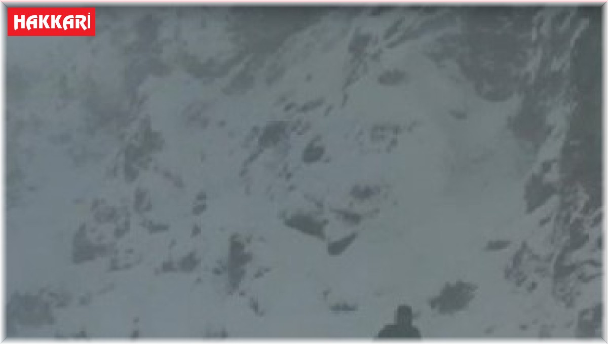 VEDAŞ ekibi çığ ve kurt sürüsü tehlikesi atlattı