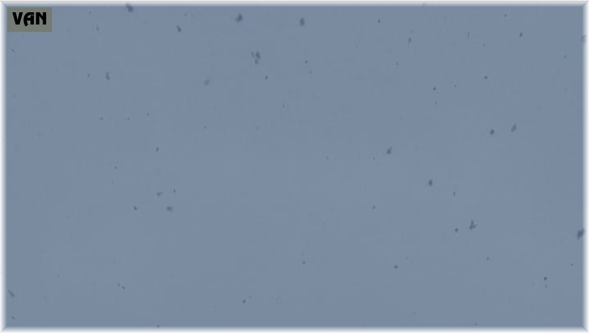 VEDAŞ ekibi zorlu kış şartlarına meydan okuyor