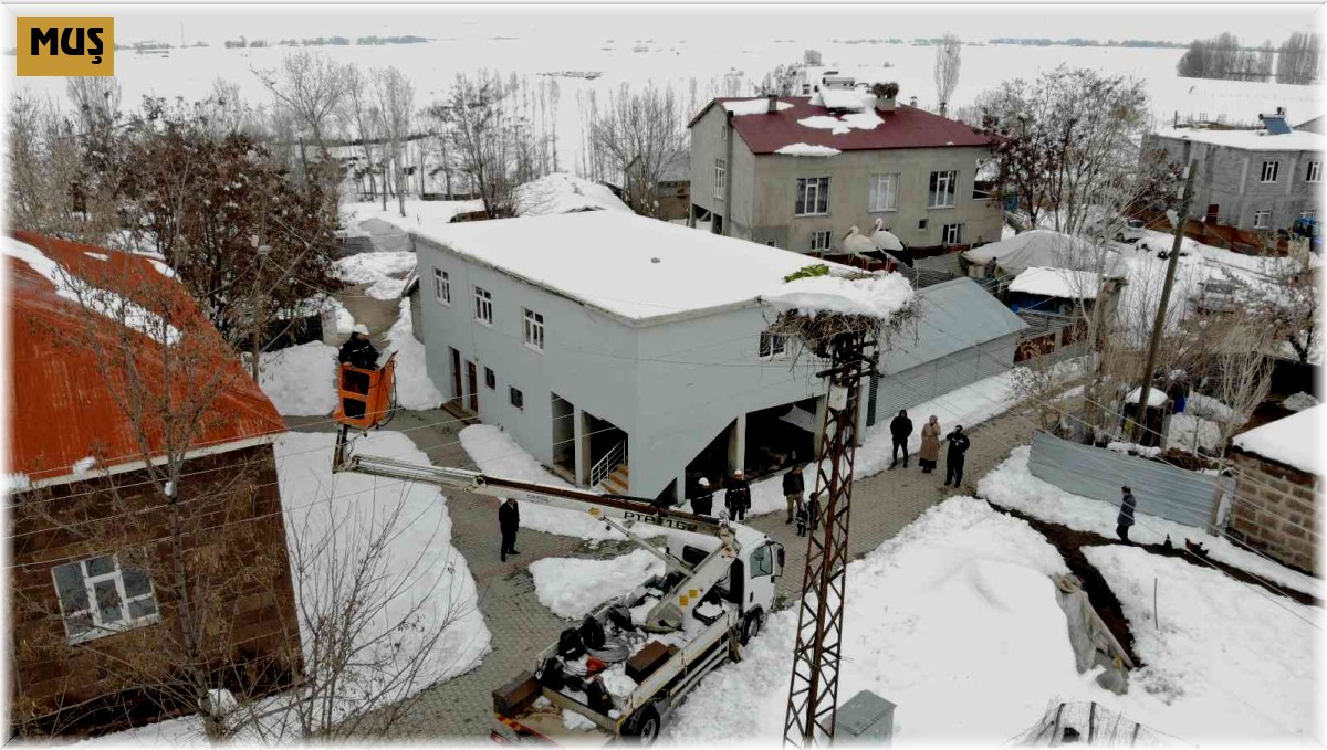 VEDAŞ ekipleri, karla kaplı leylek yuvalarına yem bıraktı