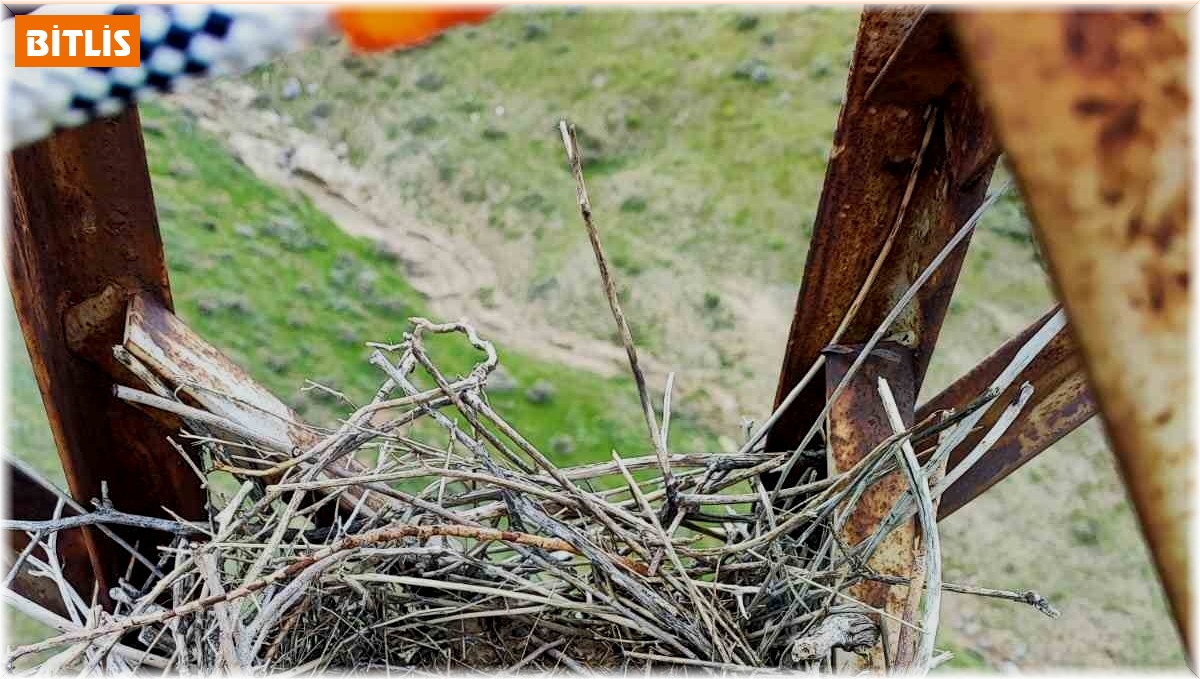 VEDAŞ ekiplerinin kuş yuvası hassasiyeti