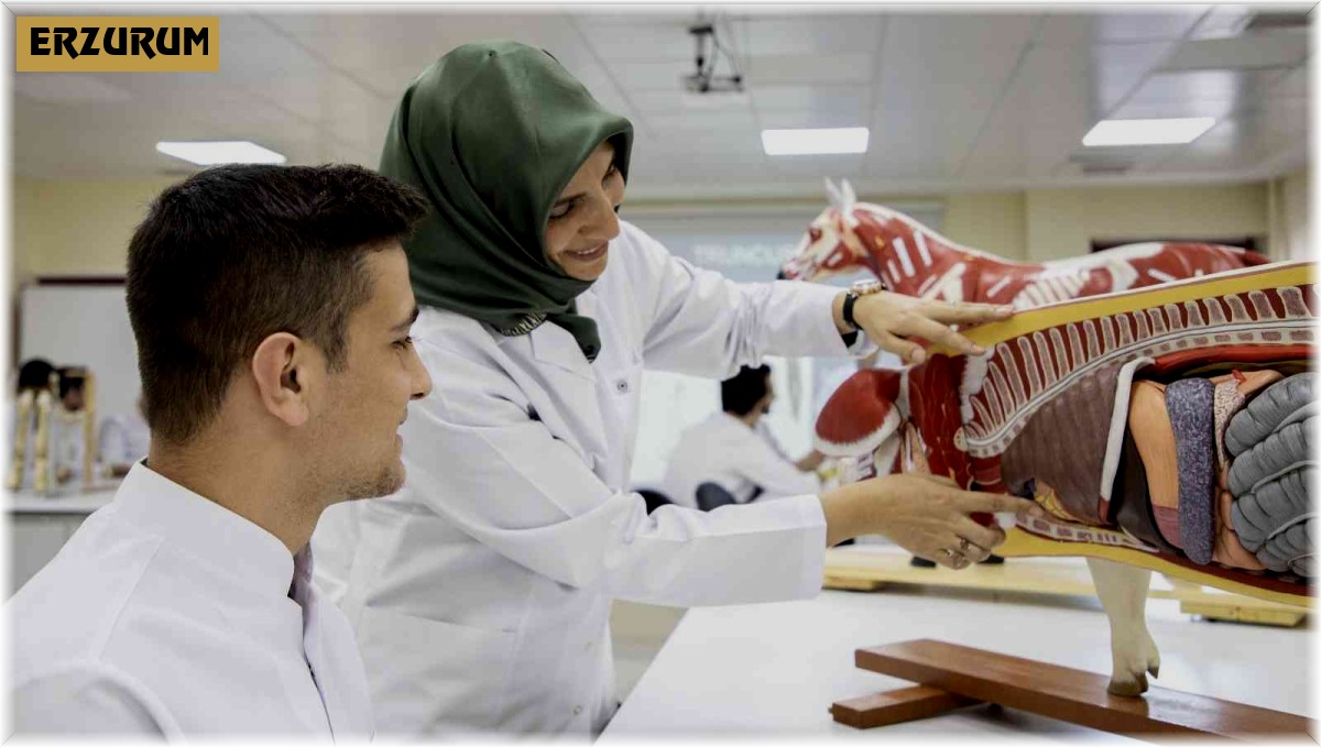 Veteriner Fakültesine 7 yıllık tam akreditasyon