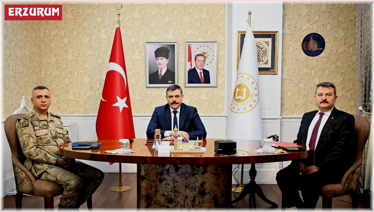 Video konferansta güvenlik zirvesi