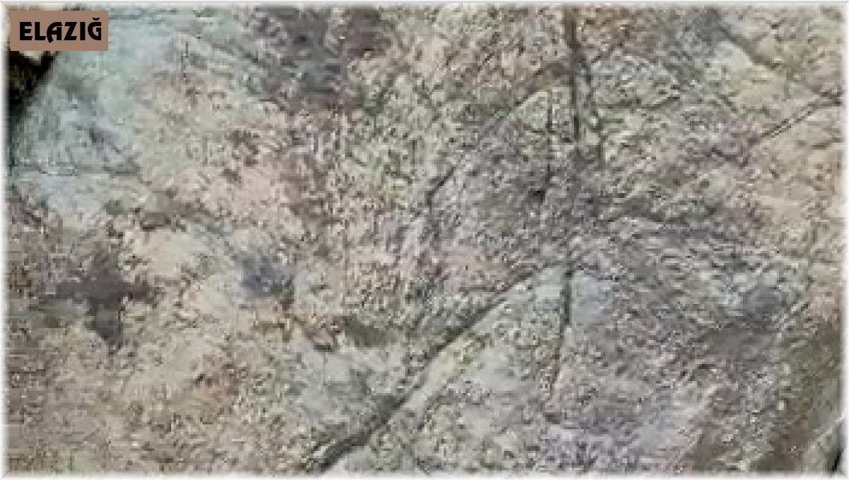 Yaban domuzunu gördü 'Pijamalarını giymiş' söylemi ile kahkahaya boğdu