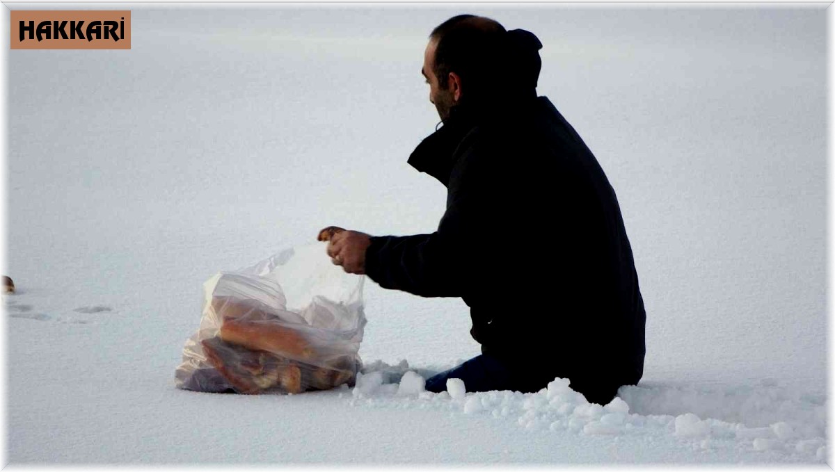 Yaban hayvanları için beline kadar kara batarak doğaya ekmek bıraktı