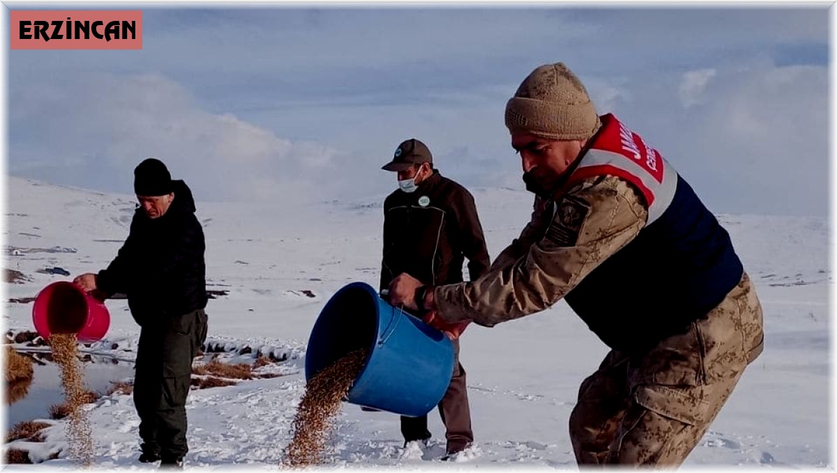 Yaban hayvanları için doğaya yem bırakıldı