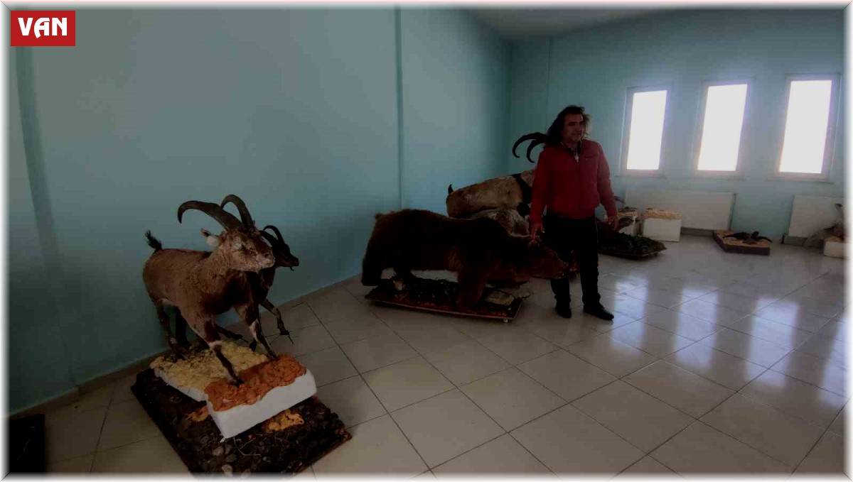 Yaban hayvanları tahnitleri ile yaşatılıyor