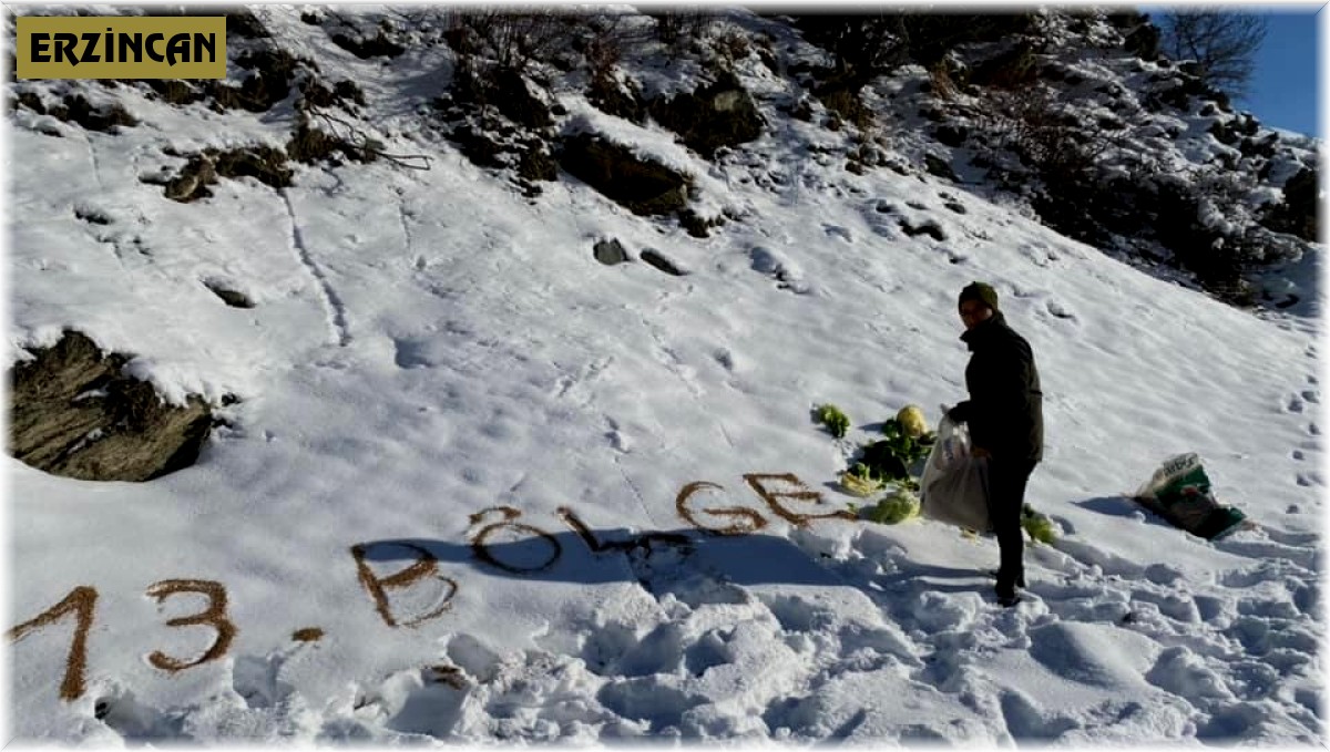 Yaban hayvanlarının yaşam alanlarına yem desteği