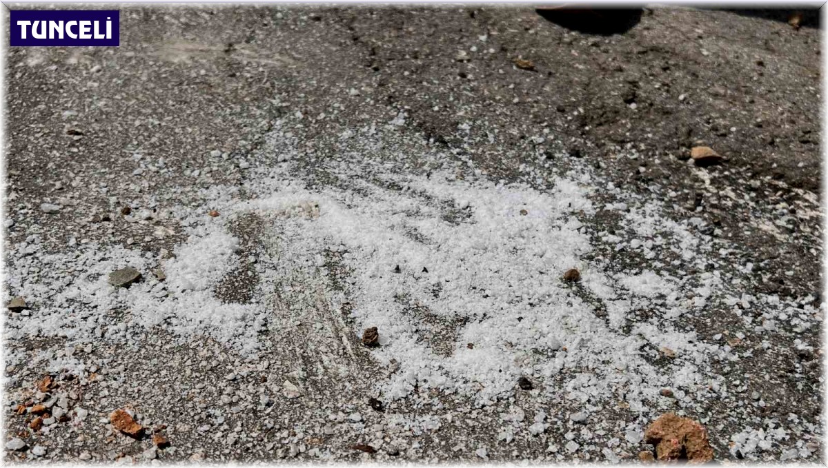 Yaban keçileri için "Tuz dökmeyin" uyarısı