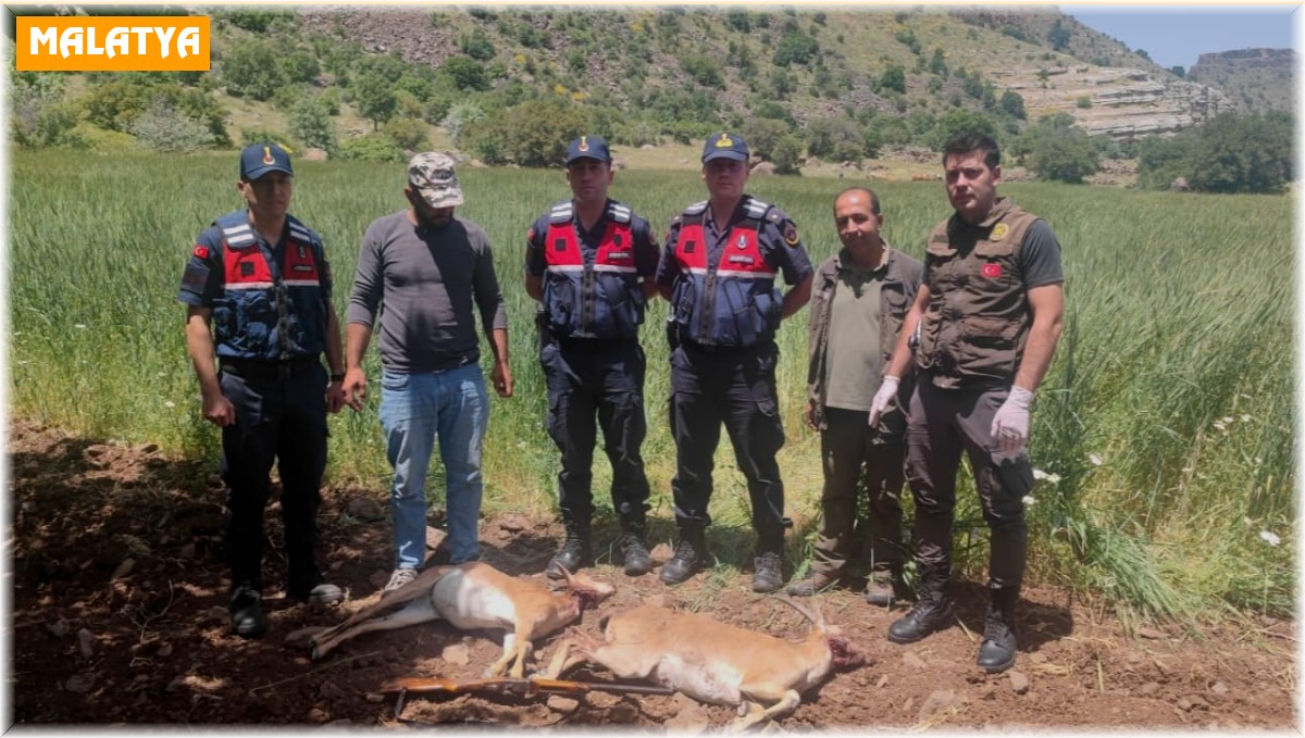 Yaban keçisi avına 613 bin 980 TL ceza