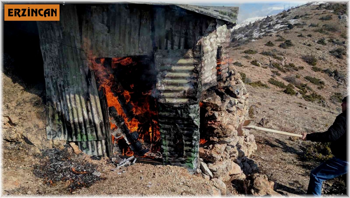 Yaban keçisi avlamak için yapıldığı belirlenen kulübe imha edildi