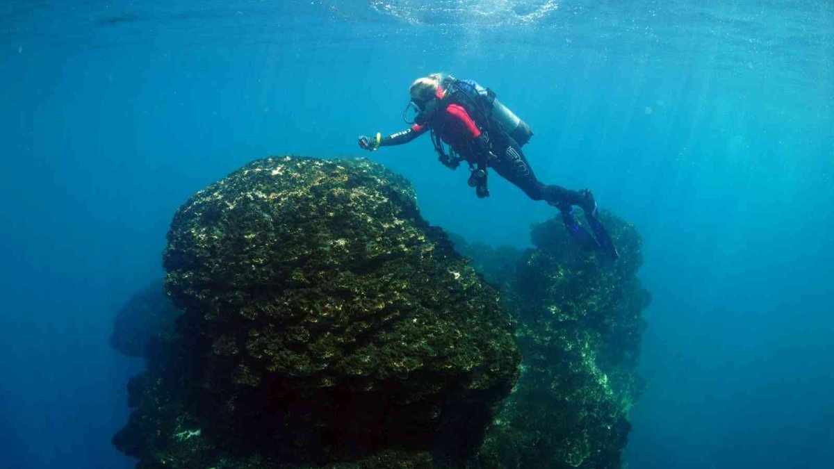 Yabancı gazeteciler mikrobiyalitler için Van Gölü'ne dalış yaptı