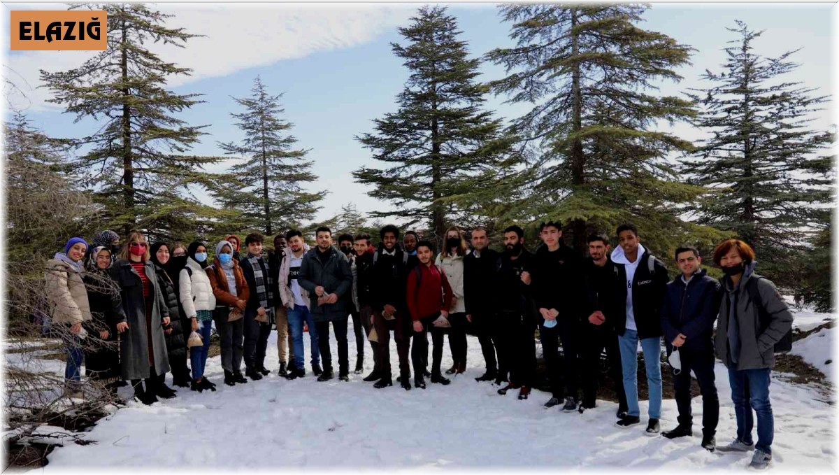 Yabancı uyruklu öğrenciler hayvanlar için doğaya yem bıraktı