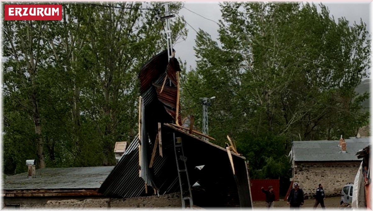 Yağış ve fırtına Erzurum'da etkili oluyor