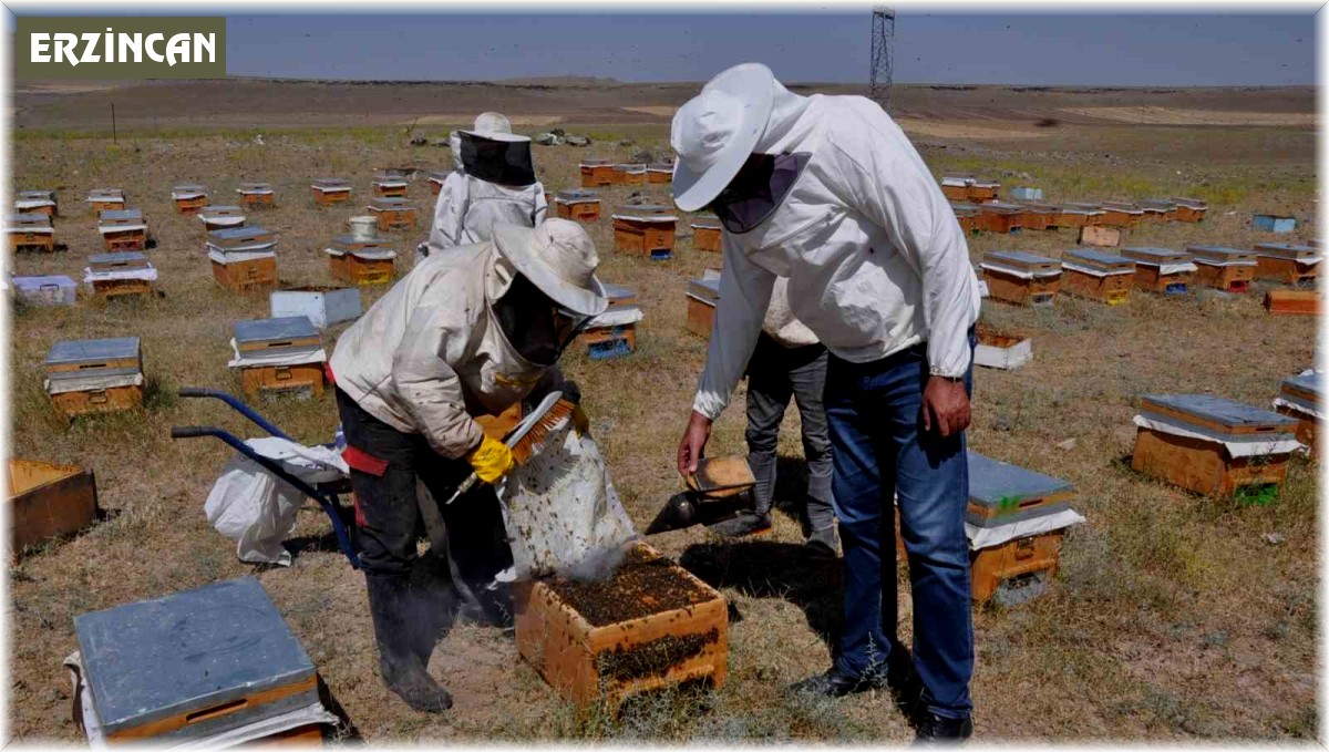 Yağışlar arıcılara bereket olacak