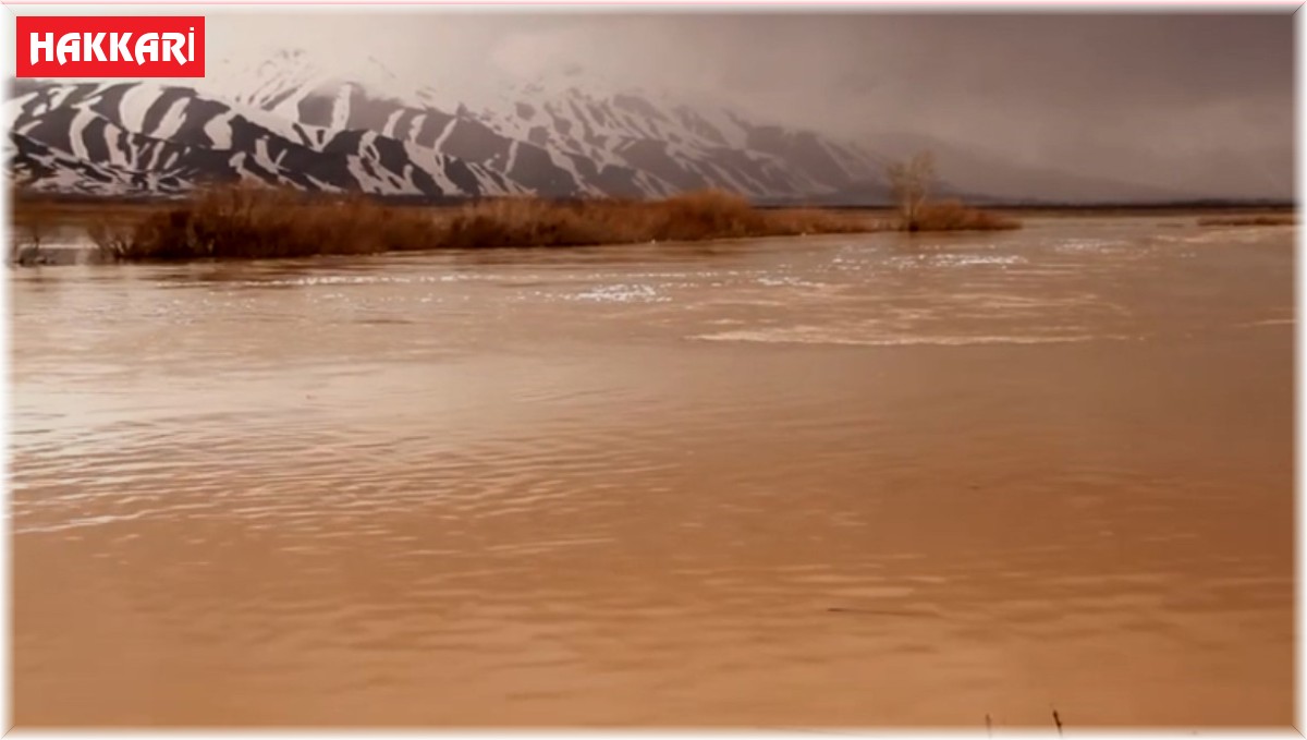 Yağışlar sonrası Yüksekova'nın ovası göle döndü