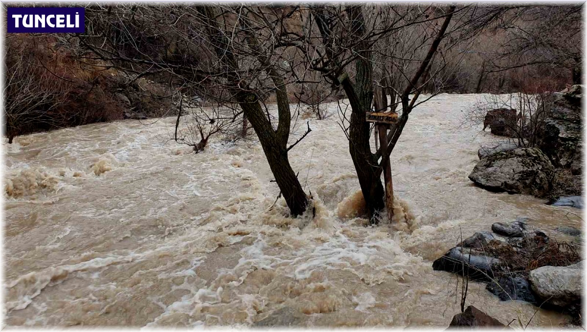 Yağışlarla Munzur ve Pülümür çaylarının seviyesi yükseldi, belediye uyardı