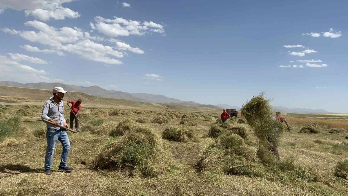 Yağmur bereketinden faydalanan çiftçinin yüzü gülüyor