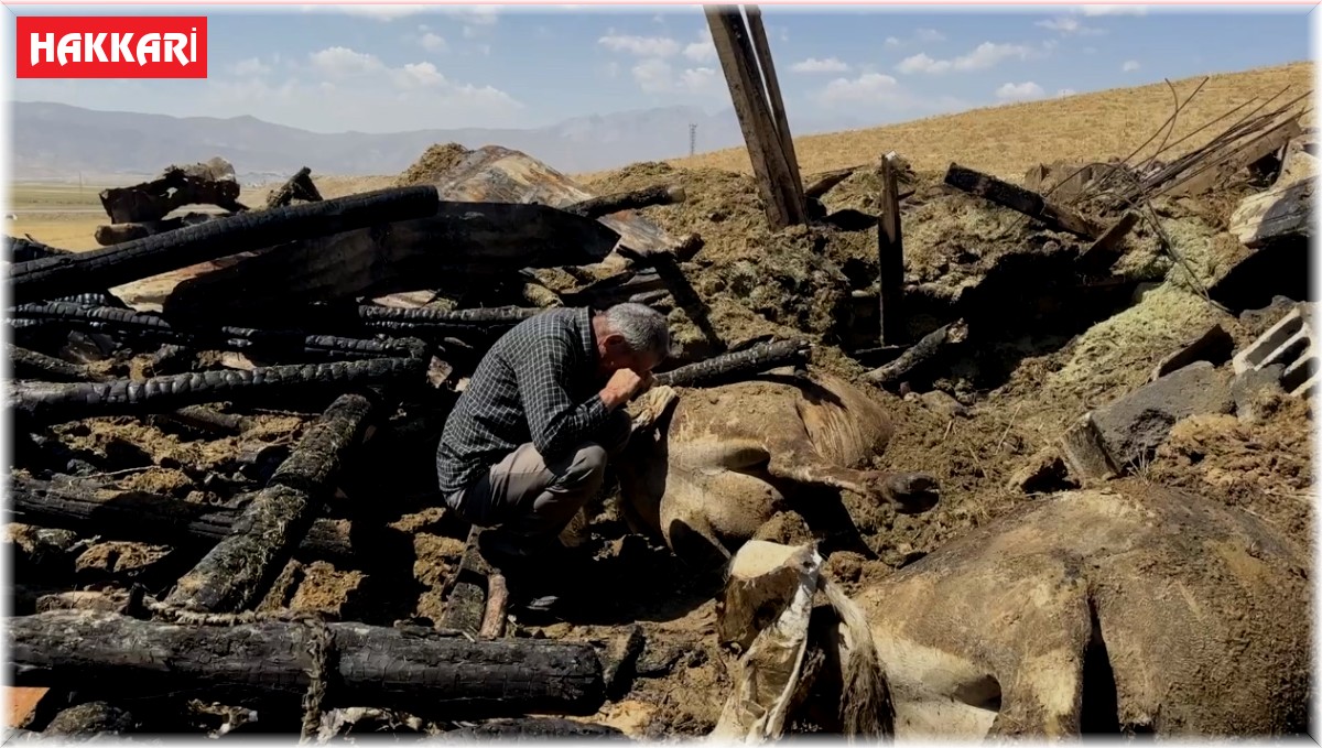 Yangında 7 ineğini kaybeden vatandaş hüngür hüngür ağladı