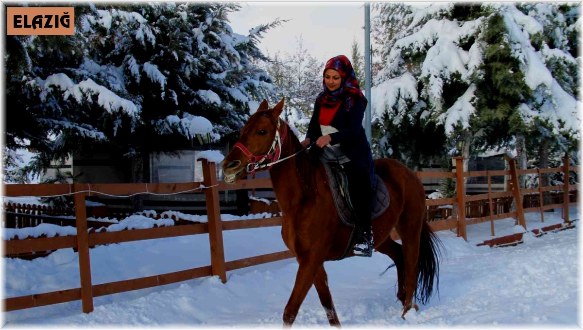 'Yapamazsın' dediler hırs yaptı Elazığ'ın tek kadın seyisi oldu